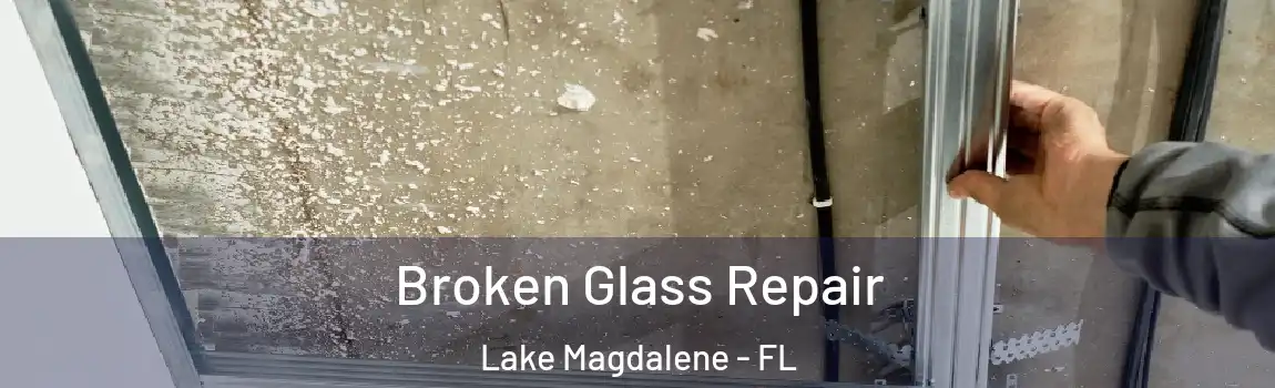  Broken Glass Repair Lake Magdalene - FL