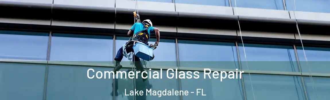  Commercial Glass Repair Lake Magdalene - FL