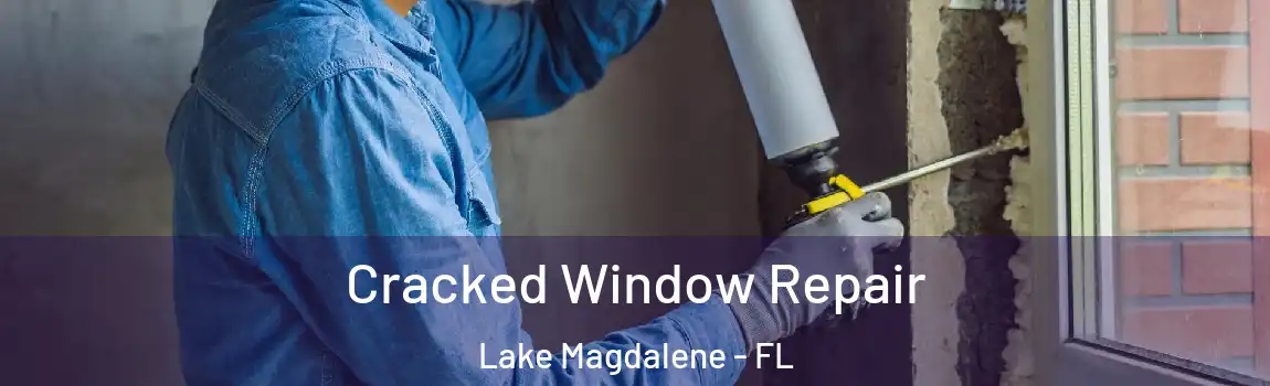  Cracked Window Repair Lake Magdalene - FL