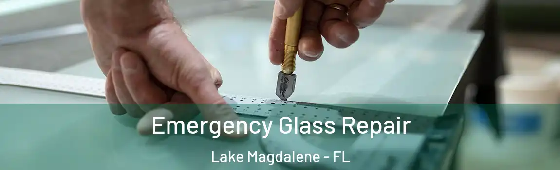 Emergency Glass Repair Lake Magdalene - FL