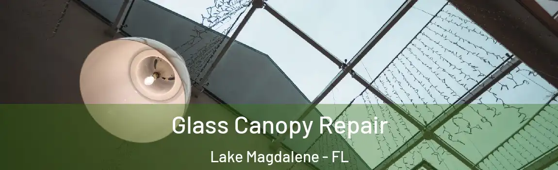 Glass Canopy Repair Lake Magdalene - FL