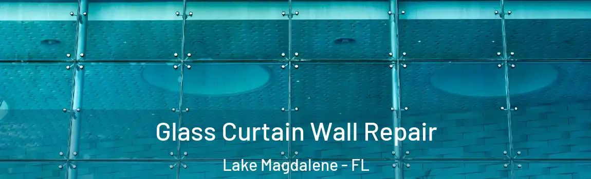 Glass Curtain Wall Repair Lake Magdalene - FL