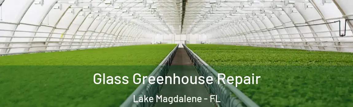 Glass Greenhouse Repair Lake Magdalene - FL