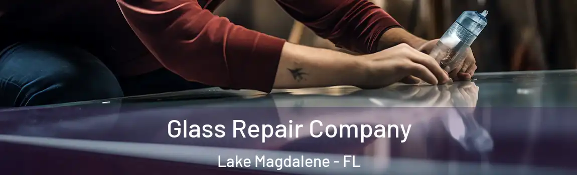  Glass Repair Company Lake Magdalene - FL