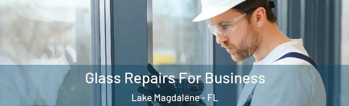 Glass Repairs For Business Lake Magdalene - FL