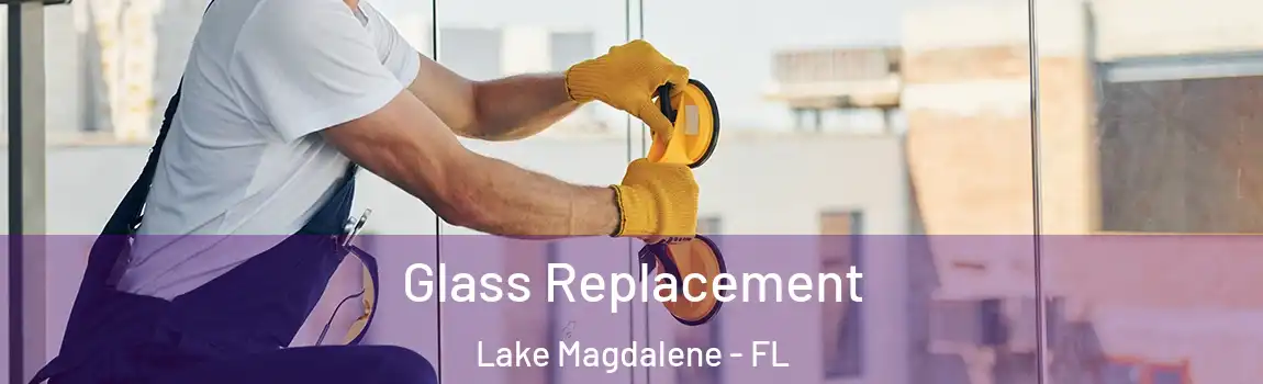  Glass Replacement Lake Magdalene - FL