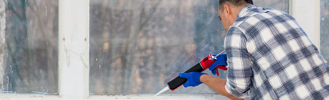 Foggy Window Repair Services in Lake Magdalene, FL