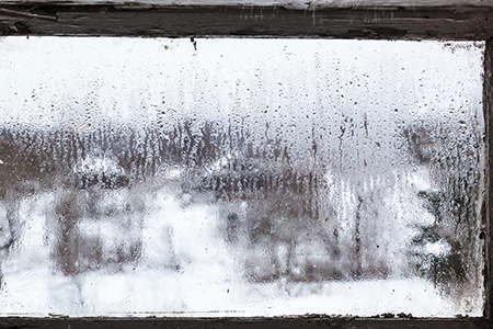 Defogging Double Pane Windows in Lake Magdalene, FL