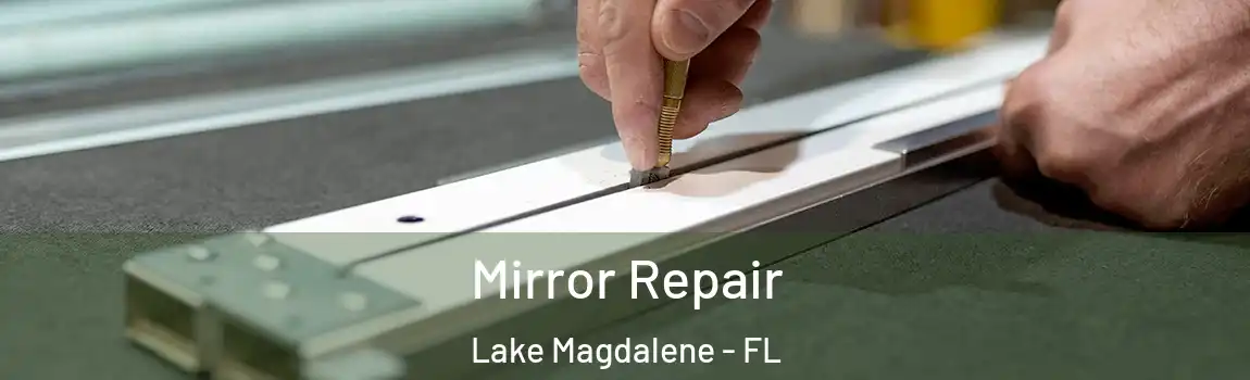  Mirror Repair Lake Magdalene - FL