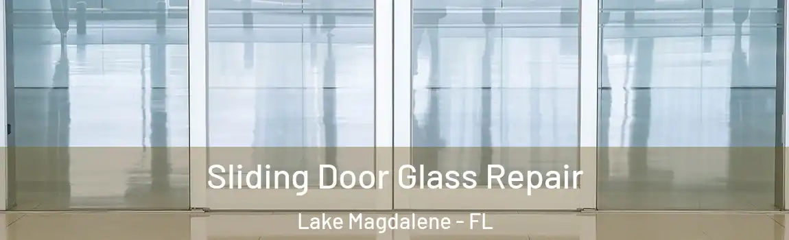 Sliding Door Glass Repair Lake Magdalene - FL
