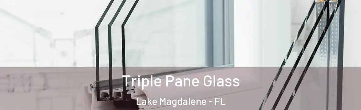  Triple Pane Glass Lake Magdalene - FL