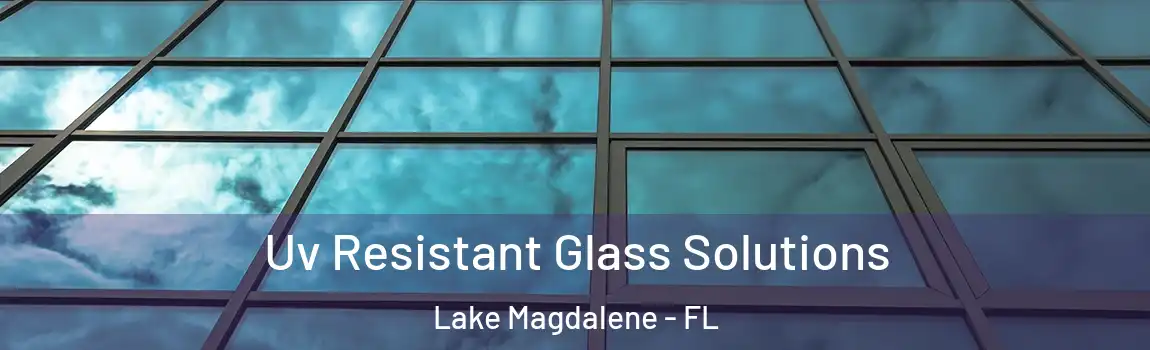  Uv Resistant Glass Solutions Lake Magdalene - FL
