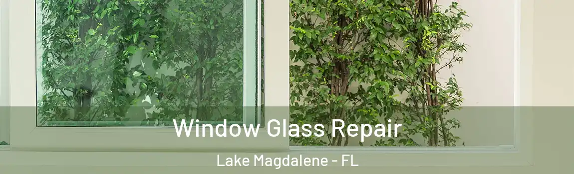  Window Glass Repair Lake Magdalene - FL