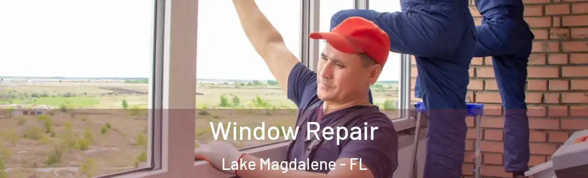  Window Repair Lake Magdalene - FL