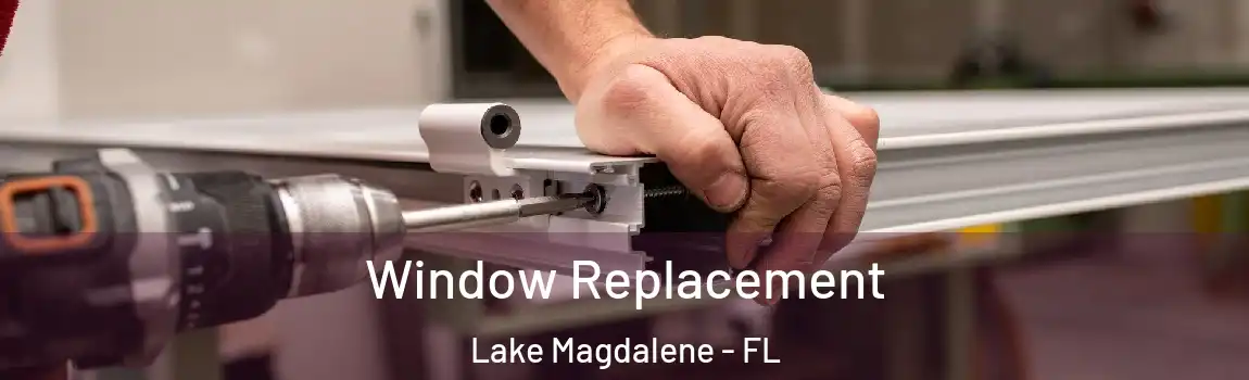  Window Replacement Lake Magdalene - FL
