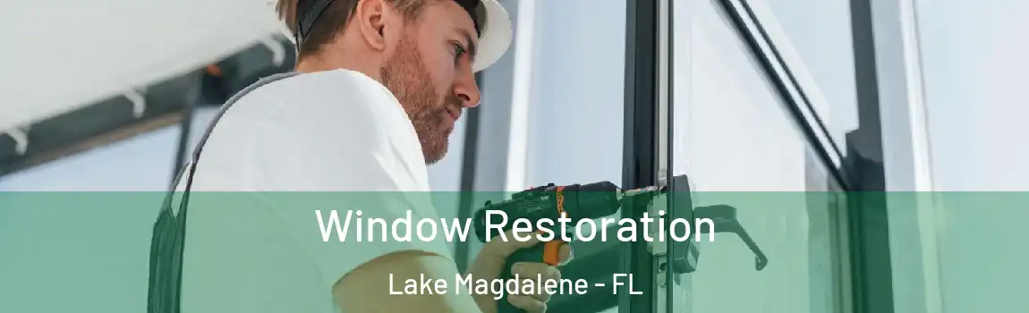  Window Restoration Lake Magdalene - FL