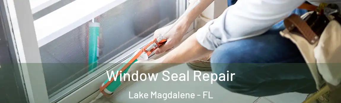  Window Seal Repair Lake Magdalene - FL